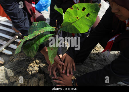 Lhokseumawe, Aceh, Indonesien. 4 Nov, 2018. Freiwillige gesehen einen Baum pflanzen in einem Teil des neuen Projekts, den Strand zu reinigen. Indonesischen Freiwilligen aus BNPB (Nationale Behörde für Katastrophenmanagement) einen Strand aufräumen und auch gepflanzt 3000 Bäume eine saubere Umwelt für alle in Lhokseumawe Stadt zu erstellen. Credit: Maskur hat/SOPA Images/ZUMA Draht/Alamy leben Nachrichten Stockfoto