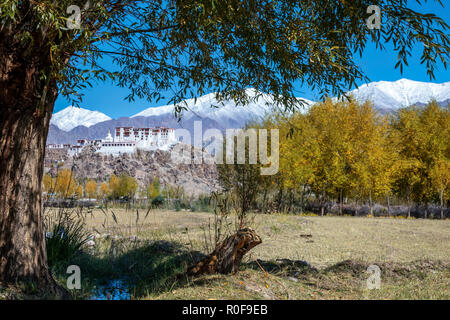 Stakna Kloster oder Stakna Gompa, Ladakh, Indien Stockfoto