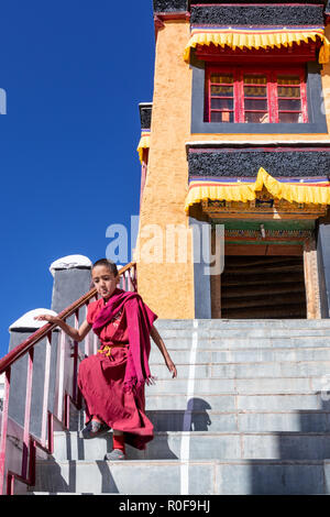 Junge Mönch, der die Treppe an thikse Gompa Kloster (Thiksay), Ladakh, Kaschmir, Indien Stockfoto