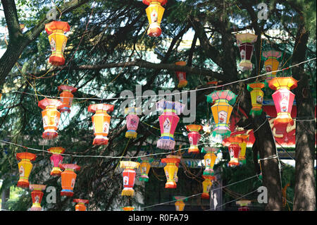 Riesige Baum mit vielen Laternen hängen die Zweige eingerichtet. Multicolor chinesische Laterne hängend mit Bäumen im Hintergrund. Stockfoto