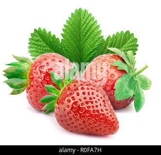 Drei perfekt retuschiert ganze Erdbeeren mit Blättern auf weißem Hintergrund mit Freistellungspfad isoliert Stockfoto