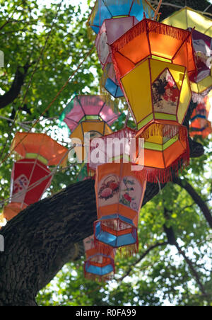 Riesige Baum mit vielen Laternen hängen die Zweige eingerichtet. Multicolor chinesische Laterne hängend mit Bäumen im Hintergrund. Stockfoto