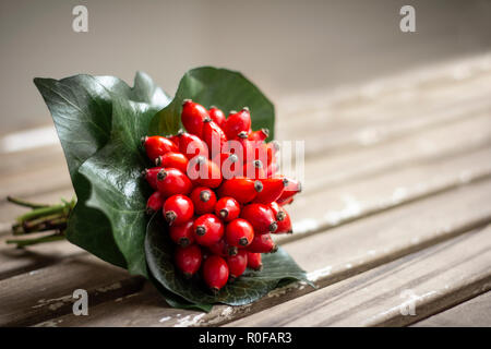 Rote Hagebutten Beeren Stockfoto