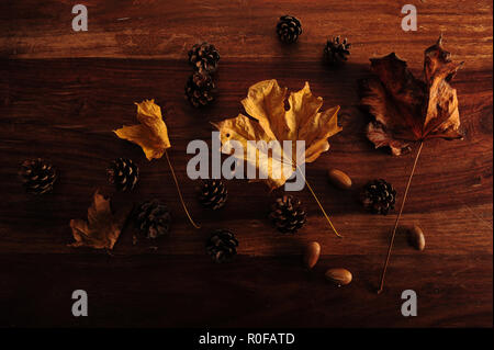 Blass gelb und braun Ahorn Blätter und Tannenzapfen auf dunklen Holztisch. Bild horizontal. Stockfoto