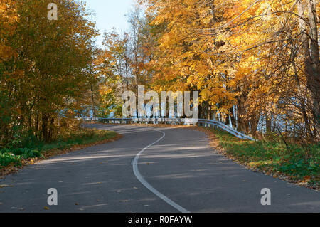 Waldweg im Herbst Blätter, Herbst landschaft, wald Trail, rominten Wald Stockfoto