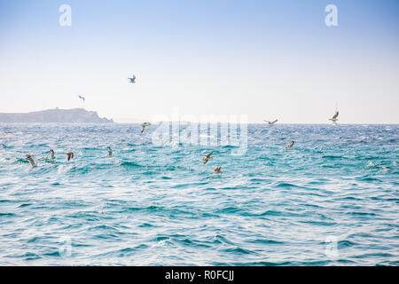 Fliegende Möwen über dem Meer in der Nähe der Insel Mykonos, Griechenland Stockfoto