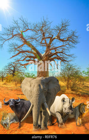 African Baobab Baum mit fünf großen Collage, Leoparden, Büffel, Elefanten, Nashörner und Löwen in der Savanne Landschaft. African Safari Szene mit wilden Tieren. Blue Sky. Vertikale erschossen. Trockenzeit. Stockfoto