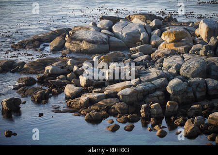 Kleine Steine und Felsen vom Atlantischen Ozean umgeben bei Sonnenuntergang an der Küste von Kapstadt, Südafrika bei Sonnenuntergang Stockfoto