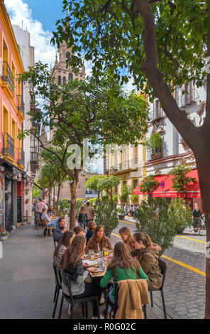 Cafés in der Calle Mateos Gago auf die Giralda und die Kathedrale, Barrio Santa Cruz, Sevilla, Andalusien, Spanien Stockfoto