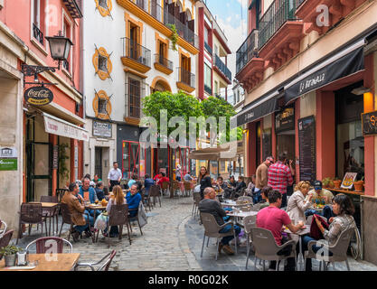 Cafés und Restaurants in der Calle Joaquín Guichot in der Nähe der Plaza Nueva, Sevilla, Andalusien, Spanien Stockfoto