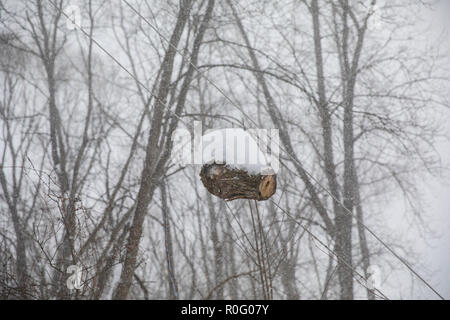 Der Schnee einen Schnitt anmelden, um eine Freileitung während einer Blizzard gewachsen ist. Stockfoto