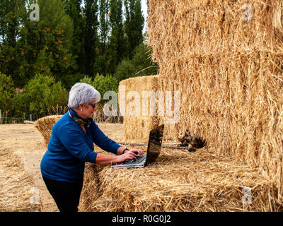 Ein Unternehmer senior Frau arbeiten im Freien auf einem Bauernhof mit einem Laptop über eine Heu Ballen Stockfoto