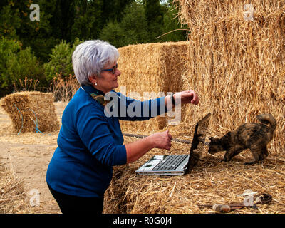 Ein Unternehmer senior Frau arbeiten im Freien auf einem Bauernhof mit einem Laptop über eine Heu Ballen Stockfoto