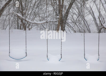 Spielgeräte im Schnee während einem Blizzard, dass mehr als drei Meter Schnee im Staat New York links begraben. Stockfoto