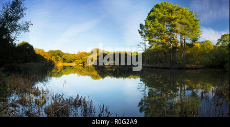 Die Zierteich in Southampton. Southampton, England. Stockfoto