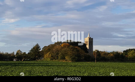 Die hl. Maria Magdalena Kirche, Gedney, in der Nähe von Spalding, Lincolnshire, Großbritannien Stockfoto