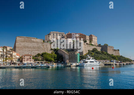 Zitadelle von Calvi, Balagne, Haute-Corse, Korsika, Frankreich Stockfoto