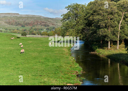 Die herbstlichen Licht in Austwick, Yorkshire Dales, Nordengland, Großbritannien Stockfoto