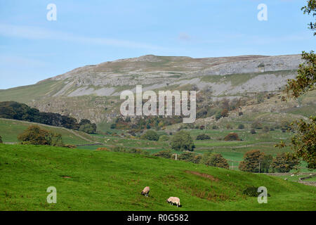 Die herbstlichen Licht in Austwick, Yorkshire Dales, Nordengland, Großbritannien Stockfoto