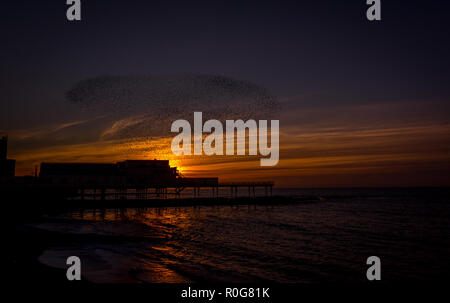 Eine murmuration der Stare fliegen Sie über den Pier in Aberystwyth, Ceredigion West Wales. Stockfoto