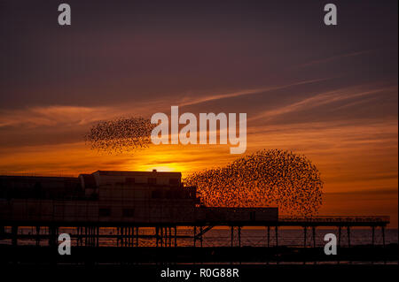 Eine murmuration der Stare fliegen Sie über den Pier in Aberystwyth, Ceredigion West Wales. Stockfoto