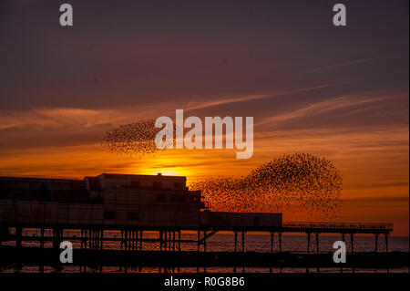 Eine murmuration der Stare fliegen Sie über den Pier in Aberystwyth, Ceredigion West Wales. Stockfoto