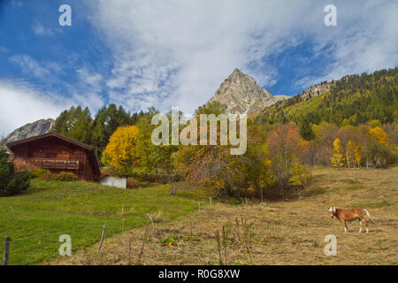 Die Alpen sind das größte und umfangreichste mountain range System, die vollständig in Europa liegt, Stretching rund 1.200 Kilometer. Stockfoto