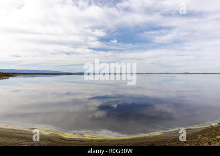 Alviso Slough Reflexionen in der Bucht von San Francisco. Stockfoto