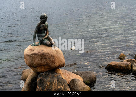 Statue der kleinen Meerjungfrau in Kopenhagen, Dänemark. Stockfoto
