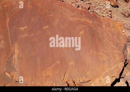 Twyfelfontein Namibia; alte Felsgravuren der Buschmänner am UNESCO-Weltkulturerbe Twyfelfontein, Damaraland, Namibia Afrika Stockfoto