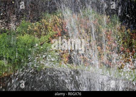 Kleine fächerförmige Springbrunnen in der Mitte von einem kleinen Pool gegen üppige Vegetation Stockfoto