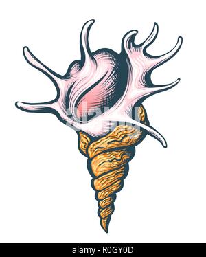 Hand Seashell auf weißem Hintergrund dargestellt. Vector Illustration. Stock Vektor