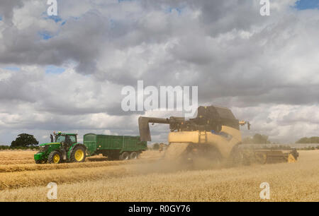 Moderne Maschinen Ernten ein Feld von Hafer auf einem hellen sonnigen Morgen im Sommer in Beverley, Yorkshire, UK. Stockfoto