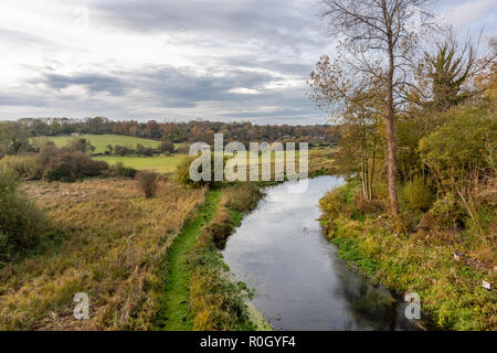 Itchen River in der Nähe von Winchester in Hampshire, England, Großbritannien Stockfoto