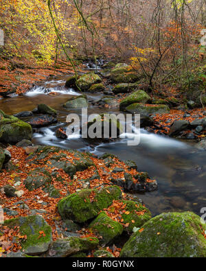 Herbst an der Birks Aberfeldy, Perth und Kinross, Schottland Stockfoto