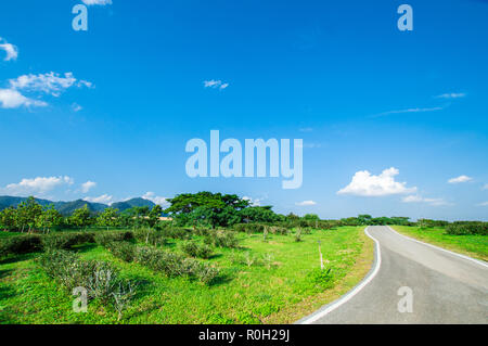 Asphaltierte Straße in die Landschaft. In der wunderschönen Natur Landschaft mit Sonne, blauer Himmel und grünes Gras. Stockfoto