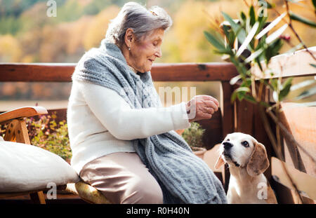 Eine ältere Frau mit einem Hund sitzen draußen auf der Terrasse an einem sonnigen Tag im Herbst. Stockfoto