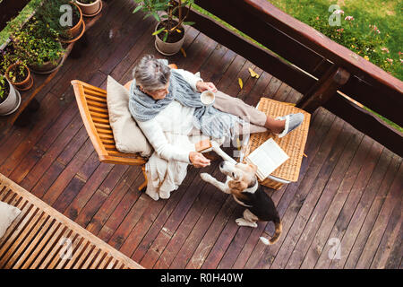 Eine ältere Frau mit einem Hund sitzen draußen auf der Terrasse an einem sonnigen Tag im Herbst. Stockfoto