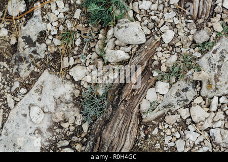 Dunkle detaillierte grauen Stein Hintergrund schliessen. Stockfoto