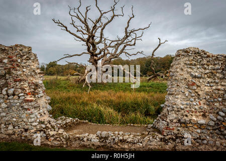 Die 15 thC Baconsthorpe Schloss, in North Norfolk, Großbritannien. Ursprünglich die Heimat der Speck, immer Heydon, Familie. War einer der wichtigsten Gebäude für 200 Jahre. Stockfoto