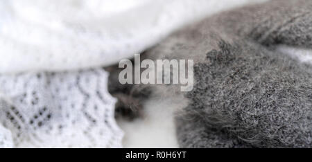 Weichen, flauschigen grauer Wolle Schal. Stockfoto