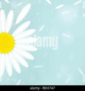 Kamille, weiss auf einem blauen Hintergrund Stock Vektor