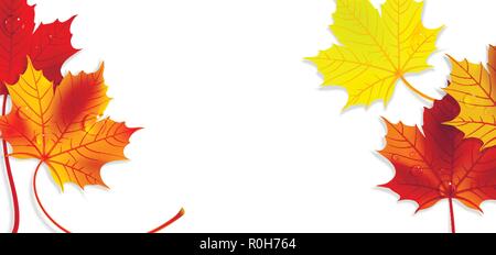 Banner mit bunten Herbst Ahorn Blätter auf einem weißen Hintergrund Stock Vektor