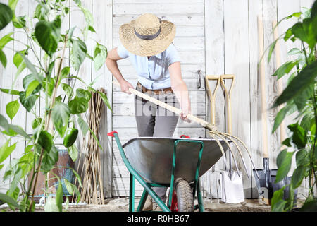 Frau Arbeit im Gemüsegarten mit Schubkarre und Heugabel, set Ausrüstung Werkzeuge auf Holz wand hintergrund, gesunde organische Nahrungsmittel produzieren Konzept Stockfoto