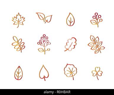 Herbst Symbol gesetzt. Fallen Blätter und Beeren. Natur symbol Line Art Collection auf weißem Hintergrund. Stock Vektor