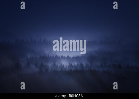 Dunklen Wald, in den Bergen in der Nacht mit Nebel Stockfoto