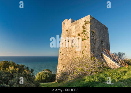 Torre Montepucci, mittelalterlichen Wachturm am Gargano über Adria, in der Nähe der Stadt Vieste, Apulien, Italien Stockfoto