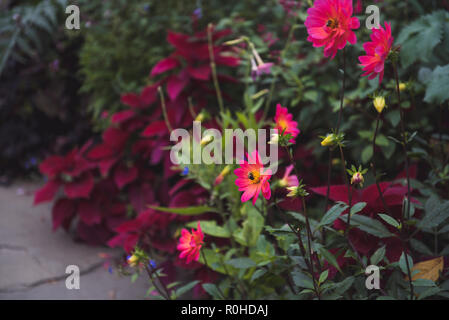Herbst Blick auf den Wintergarten im Central Park, New York City. Stockfoto