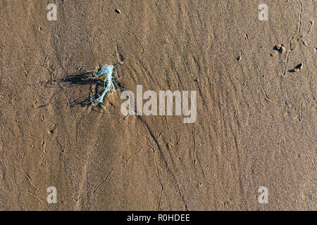 Ein Rest eines Fisher net wird micro Kunststoff am Strand. Stockfoto