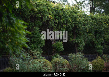 Herbst Blick auf den Wintergarten im Central Park, New York City. Stockfoto